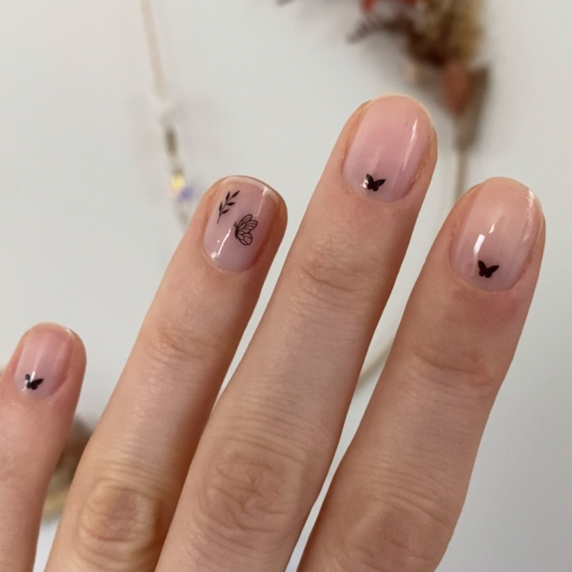 Himmlische Schmetterlinge